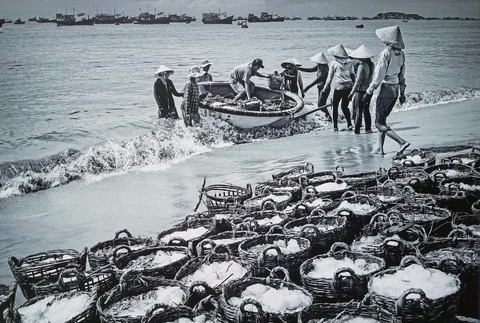 Ảnh biển đảo đẹp đến ngỡ ngàng trên phố đi bộ Nguyễn Huệ - Ảnh 4. Ảnh biển đảo đẹp đến ngỡ ngàng trên phố đi bộ Nguyễn Huệ - Ảnh 4.