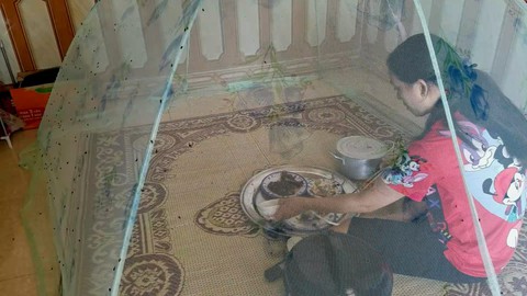 Công ty dùng phân tươi trồng cỏ, dân phải mắc màn ăn cơm để trốn ruồi - Ảnh 1. Công ty dùng phân tươi trồng cỏ, dân phải mắc màn ăn cơm để trốn ruồi - Ảnh 1.