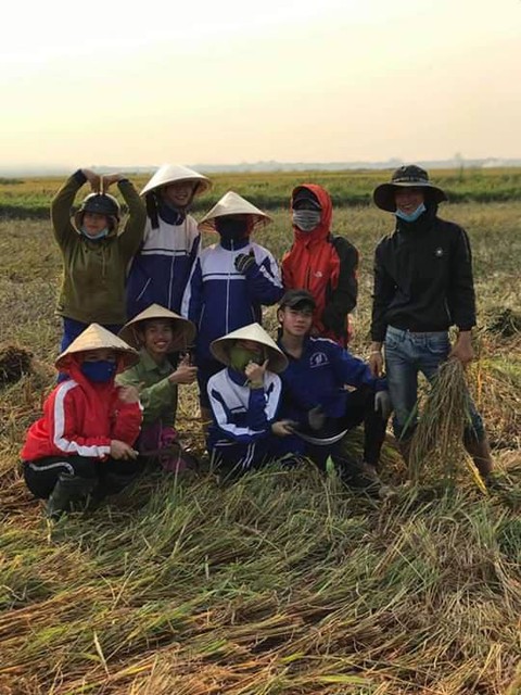 Cả lớp ra đồng gặt lúa giúp bạn, phụ huynh cũng góp tay - Ảnh 7. Cả lớp ra đồng gặt lúa giúp bạn, phụ huynh cũng góp tay - Ảnh 7.