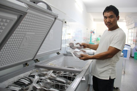 Ngư dân Đà Nẵng được hỗ trợ 90% chi phí mua bảo hiểm tàu - Ảnh 2. Ngư dân Đà Nẵng được hỗ trợ 90% chi phí mua bảo hiểm tàu - Ảnh 2.