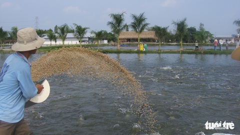 Mỹ áp thuế cao với cá tra Việt Nam - Ảnh 2. Mỹ áp thuế cao với cá tra Việt Nam - Ảnh 2.