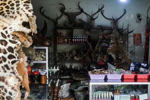 Thế giới ăn chơi thác loạn ở Myanmar giáp giới Trung Quốc - Ảnh 3. Thế giới ăn chơi thác loạn ở Myanmar giáp giới Trung Quốc - Ảnh 3.