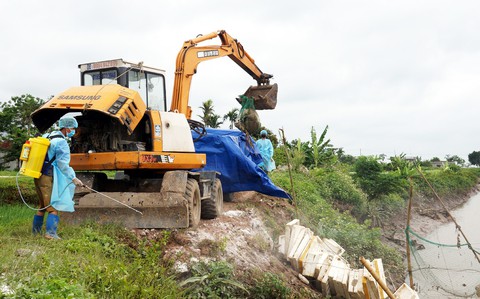 200 xác heo kẹt dính cầu phao, thối cả một vùng sông nước - Ảnh 3. 200 xác heo kẹt dính cầu phao, thối cả một vùng sông nước - Ảnh 3.