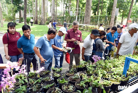 Check-in công viên Tao Đàn ngắm hoa lan trong Sắc màu nhiệt đới - Ảnh 3. Check-in công viên Tao Đàn ngắm hoa lan trong Sắc màu nhiệt đới - Ảnh 3.