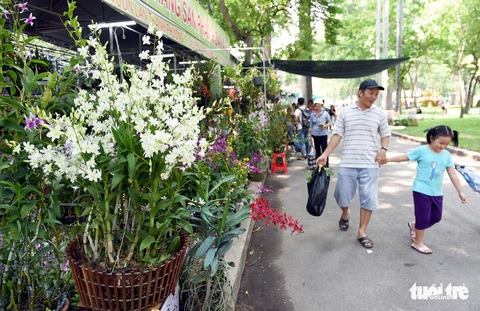 Check-in công viên Tao Đàn ngắm hoa lan trong Sắc màu nhiệt đới - Ảnh 7. Check-in công viên Tao Đàn ngắm hoa lan trong Sắc màu nhiệt đới - Ảnh 7.