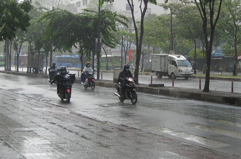 Mưa vàng rơi trên TP.HCM ngày đầu nghỉ lễ - Ảnh 1. Mưa vàng rơi trên TP.HCM ngày đầu nghỉ lễ - Ảnh 1.