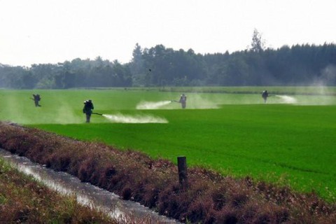 Nhiều bang ở Mỹ muốn cấm thuốc trừ sâu làm trẻ em tăng động và tự kỷ - Ảnh 1. Nhiều bang ở Mỹ muốn cấm thuốc trừ sâu làm trẻ em tăng động và tự kỷ - Ảnh 1.