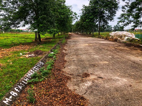 Xót xa đại đô thị ngàn tỉ để... thả bò - Ảnh 2. Xót xa đại đô thị ngàn tỉ để... thả bò - Ảnh 2.