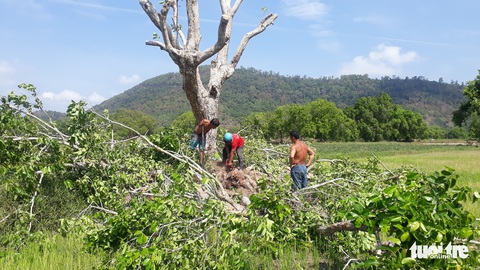 Gần 2 tháng rưỡi chưa giải quyết xong vụ tai nạn lao động làm 3 người chết ở An Giang - Ảnh 4. Gần 2 tháng rưỡi chưa giải quyết xong vụ tai nạn lao động làm 3 người chết ở An Giang - Ảnh 4.