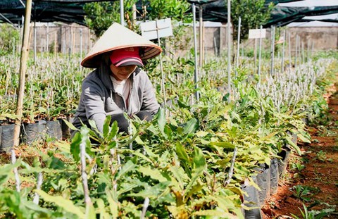 Trưởng phòng tài nguyên bị kỷ luật vì sai phạm trong quản lý đất đai - Ảnh 1. Trưởng phòng tài nguyên bị kỷ luật vì sai phạm trong quản lý đất đai - Ảnh 1.