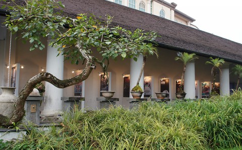 Kuching làm AIFFA và cách để hưởng lợi từ liên hoan phim - Ảnh 4. Kuching làm AIFFA và cách để hưởng lợi từ liên hoan phim - Ảnh 4.
