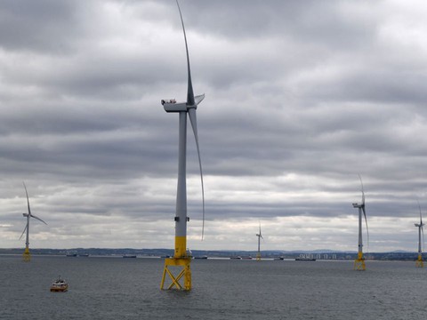 Ông Trump công kích điện gió, tuyên bố turbine gió có thể gây ung thư - Ảnh 3. Ông Trump công kích điện gió, tuyên bố turbine gió có thể gây ung thư - Ảnh 3.
