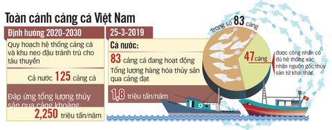 5.000 tấn cá nằm chờ xuất cảnh vì thông tư ngáng đường - Ảnh 2. 5.000 tấn cá nằm chờ xuất cảnh vì thông tư ngáng đường - Ảnh 2.