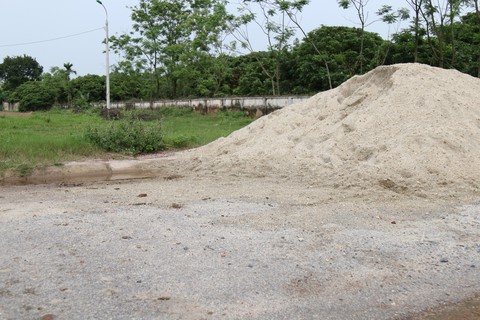 Đàn chó dữ cắn chết bé trai thường thả rông và từng cắn nhiều người - Ảnh 3. Đàn chó dữ cắn chết bé trai thường thả rông và từng cắn nhiều người - Ảnh 3.