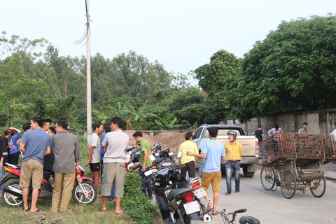 Bắt nhốt, lên phương án xử lý đàn chó cắn chết bé trai 7 tuổi - Ảnh 4. Bắt nhốt, lên phương án xử lý đàn chó cắn chết bé trai 7 tuổi - Ảnh 4.