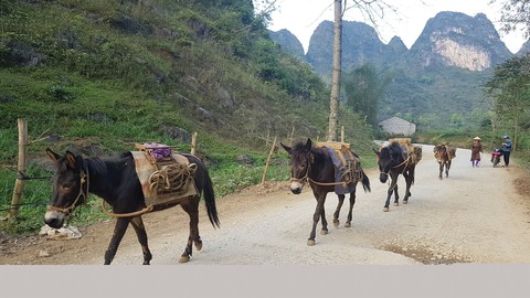 Bầy la cửu vạn ở biên viễn - Ảnh 2. Bầy la cửu vạn ở biên viễn - Ảnh 2.
