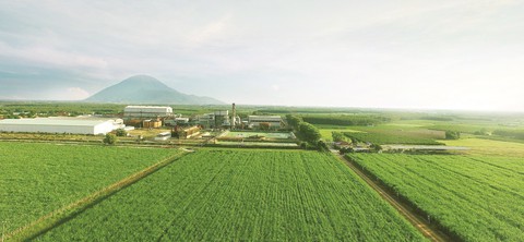 SBT dự kiến lợi nhuận trước thuế quý 3 tăng 349% - Ảnh 1. SBT dự kiến lợi nhuận trước thuế quý 3 tăng 349% - Ảnh 1.