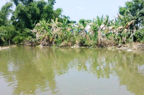 Phát hiện thi thể hai bà cháu dưới ao nước sau chùa - Ảnh 1. Phát hiện thi thể hai bà cháu dưới ao nước sau chùa - Ảnh 1.