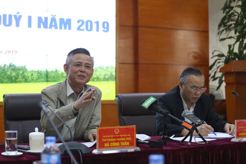 Dự thảo tiêu chuẩn nước mắm sẽ xây dựng công khai và kỹ lưỡng - Ảnh 1. Dự thảo tiêu chuẩn nước mắm sẽ xây dựng công khai và kỹ lưỡng - Ảnh 1.
