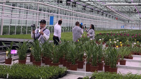 Đà Lạt có thể là Hà Lan về hoa, nếu… - Ảnh 1. Đà Lạt có thể là Hà Lan về hoa, nếu… - Ảnh 1.