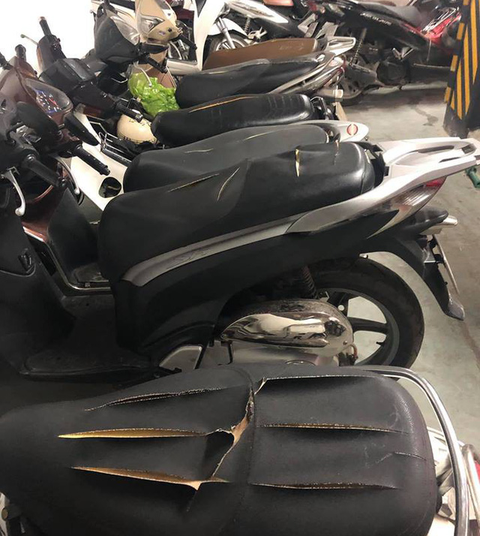 Gần chục xe máy bị rạch nát yên ở chung cư - Ảnh 1. Gần chục xe máy bị rạch nát yên ở chung cư - Ảnh 1.