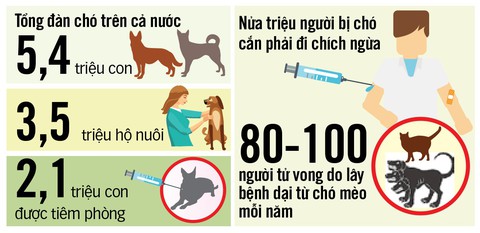 Khổ vì... chó thả rông, còn đến bao giờ? - Ảnh 3. Khổ vì... chó thả rông, còn đến bao giờ? - Ảnh 3.