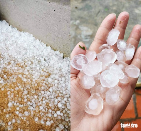 Mưa đá lớn kéo dài suốt 30 phút ở xã biên giới Nghệ An - Ảnh 2. Mưa đá lớn kéo dài suốt 30 phút ở xã biên giới Nghệ An - Ảnh 2.