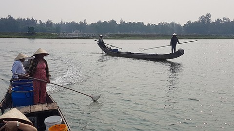 Mùa nuốc bắt đầu, nào bắt con tinh nước lợ - Ảnh 4. Mùa nuốc bắt đầu, nào bắt con tinh nước lợ - Ảnh 4.