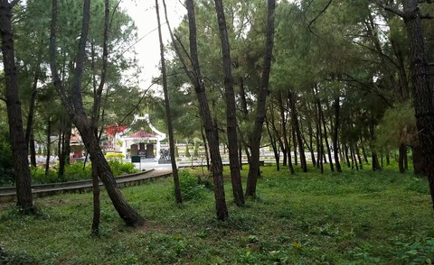 Tướng Đồng Sỹ Nguyên từng chọn về yên nghỉ cạnh đồng đội - Ảnh 3. Tướng Đồng Sỹ Nguyên từng chọn về yên nghỉ cạnh đồng đội - Ảnh 3.