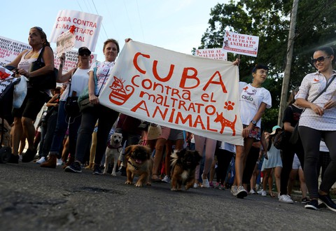 Hàng trăm người dân Cuba đã biểu tình ôn hòa ở Havana - Ảnh 1. Hàng trăm người dân Cuba đã biểu tình ôn hòa ở Havana - Ảnh 1.