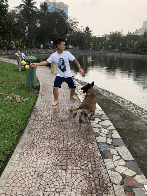 Huấn luyện chó dữ ở… công viên, người đi dạo phát khiếp - Ảnh 2. Huấn luyện chó dữ ở… công viên, người đi dạo phát khiếp - Ảnh 2.