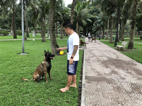 Huấn luyện chó dữ ở… công viên, người đi dạo phát khiếp - Ảnh 3. Huấn luyện chó dữ ở… công viên, người đi dạo phát khiếp - Ảnh 3.