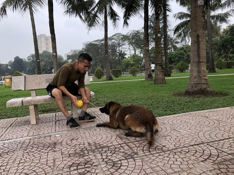 Huấn luyện chó dữ ở… công viên, người đi dạo phát khiếp - Ảnh 6. Huấn luyện chó dữ ở… công viên, người đi dạo phát khiếp - Ảnh 6.
