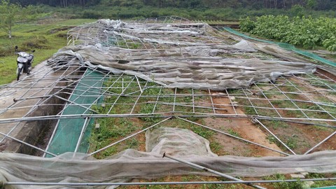 Lốc xoáy, mưa đá tốc mái 70 ngôi nhà ở Lào Cai - Ảnh 2. Lốc xoáy, mưa đá tốc mái 70 ngôi nhà ở Lào Cai - Ảnh 2.