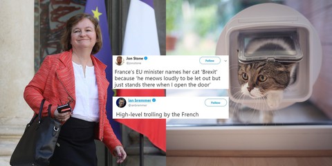 Con mèo Brexit của bà Bộ trưởng Loiseau - Ảnh 1. Con mèo Brexit của bà Bộ trưởng Loiseau - Ảnh 1.