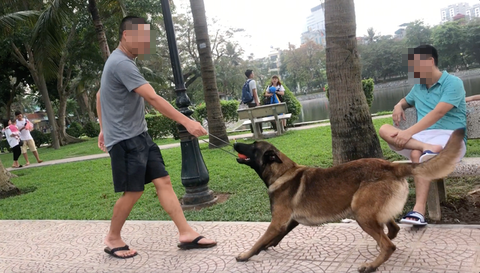 Huấn luyện chó dữ ở… công viên, người đi dạo phát khiếp - Ảnh 4. Huấn luyện chó dữ ở… công viên, người đi dạo phát khiếp - Ảnh 4.