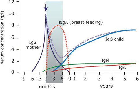 IgG tự nhiên từ sữa non: “Áo giáp” cho sức khỏe của trẻ - Ảnh 1. IgG tự nhiên từ sữa non: “Áo giáp” cho sức khỏe của trẻ - Ảnh 1.