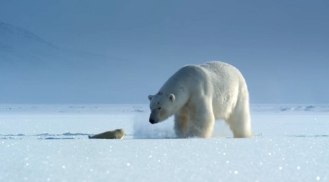 Choáng ngợp và đau đớn những cảnh báo từ loạt phim Our Planet - Ảnh 1. Choáng ngợp và đau đớn những cảnh báo từ loạt phim Our Planet - Ảnh 1.