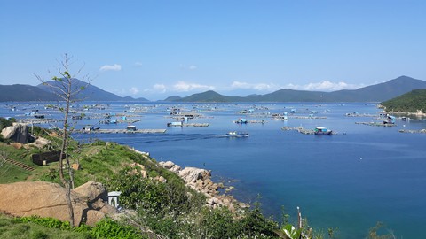 10 kỷ lục được lập tại Festival biển Nha Trang 2019 - Ảnh 2. 10 kỷ lục được lập tại Festival biển Nha Trang 2019 - Ảnh 2.