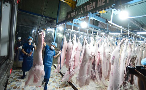 Kiến nghị hỗ trợ cấp đông thịt vì dịch tả heo châu Phi - Ảnh 1. Kiến nghị hỗ trợ cấp đông thịt vì dịch tả heo châu Phi - Ảnh 1.