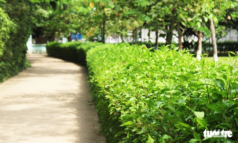 Về làng Sen, Hoàng Trù rợp bóng cây xanh - Ảnh 21. Về làng Sen, Hoàng Trù rợp bóng cây xanh - Ảnh 21.