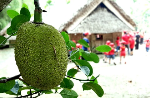 Về làng Sen, Hoàng Trù rợp bóng cây xanh - Ảnh 5. Về làng Sen, Hoàng Trù rợp bóng cây xanh - Ảnh 5.