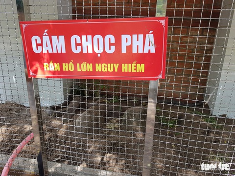 Bắt được cặp rắn hổ mây khủng gần 60kg dưới chân núi Cấm - Ảnh 3. Bắt được cặp rắn hổ mây khủng gần 60kg dưới chân núi Cấm - Ảnh 3.