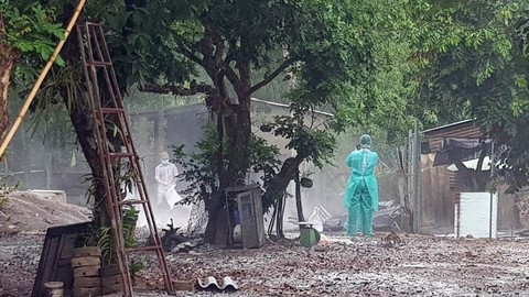 Cục trưởng chăn nuôi cảm thấy bí kiểm soát và ngăn chặn dịch tả heo - Ảnh 1. Cục trưởng chăn nuôi cảm thấy bí kiểm soát và ngăn chặn dịch tả heo - Ảnh 1.