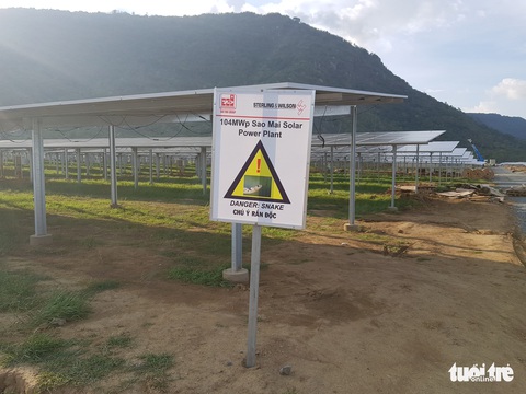 Chi cục trưởng Kiểm lâm An Giang: Đề nghị tịch thu cặp rắn hổ mây khủng - Ảnh 4. Chi cục trưởng Kiểm lâm An Giang: Đề nghị tịch thu cặp rắn hổ mây khủng - Ảnh 4.