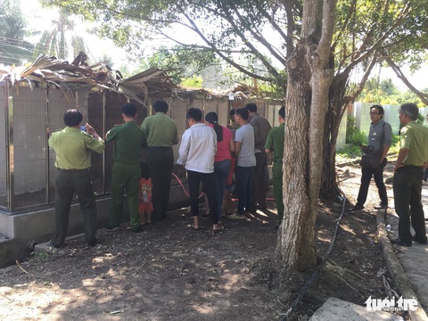 Không thể thả cặp rắn hổ mây khủng 60kg về lại núi Cấm? - Ảnh 1. Không thể thả cặp rắn hổ mây khủng 60kg về lại núi Cấm? - Ảnh 1.