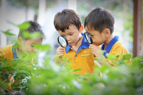 Dạy con tư duy sáng tạo hay rèn vào khuôn khổ? - Ảnh 1. Dạy con tư duy sáng tạo hay rèn vào khuôn khổ? - Ảnh 1.