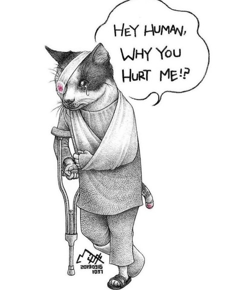 Bộ tranh gây sốc: Động vật sẽ nói gì nếu trò chuyện với con người? - Ảnh 9. Bộ tranh gây sốc: Động vật sẽ nói gì nếu trò chuyện với con người? - Ảnh 9.