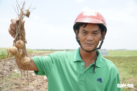 Hộ chăn nuôi cá lóc vô tư xả thải, nông dân kêu trời vì nước ô nhiễm - Ảnh 1. Hộ chăn nuôi cá lóc vô tư xả thải, nông dân kêu trời vì nước ô nhiễm - Ảnh 1.