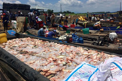Bộ Tài nguyên - môi trường yêu cầu rà soát các nguồn thải trên sông La Ngà - Ảnh 1. Bộ Tài nguyên - môi trường yêu cầu rà soát các nguồn thải trên sông La Ngà - Ảnh 1.